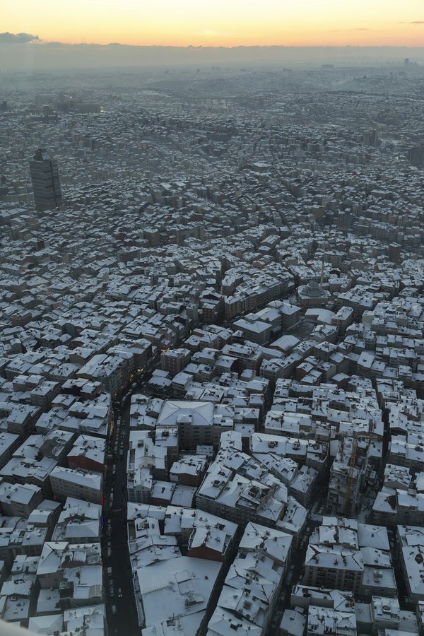 Quelle est la meilleure façon d'encourager l'implantation de micro-habitats pour la faune en milieu urbain ?