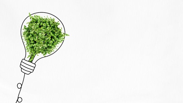 Énergie verte : comment les déchets illuminent l'avenir ?