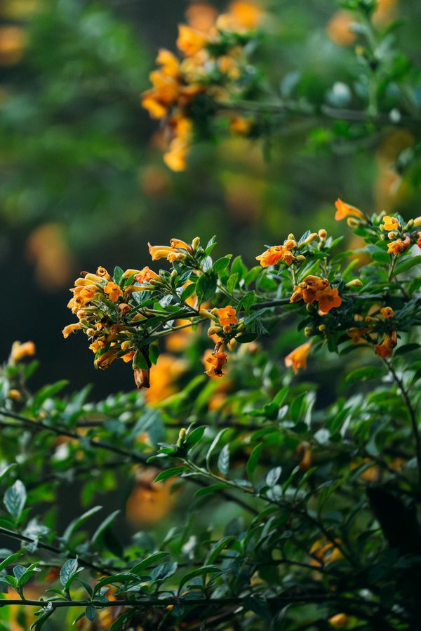 Photo Écologie : des solutions durables pour votre énergie