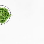 Énergie verte : comment les déchets illuminent l'avenir ?